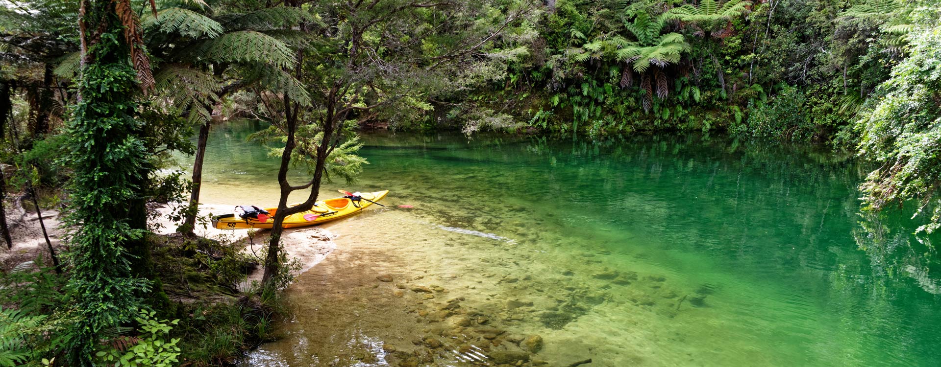 Abel Tasman National Park