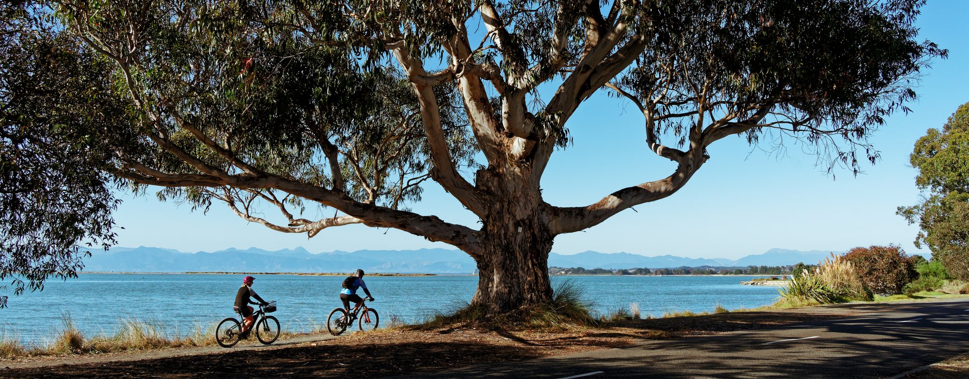 Cycle Tasman's Great Taste Trail